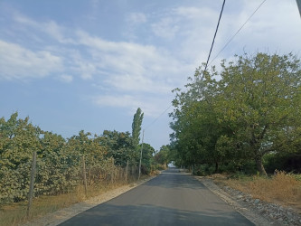 Abadlıq-quruculuq